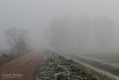 026_Biebrza - pazdziernik 2013
